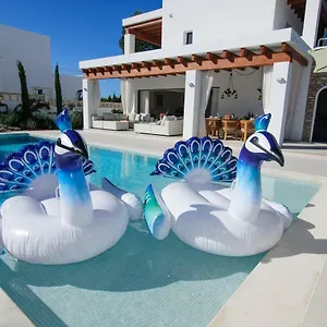 https://sa-plana-de-baix.balearic-islands.net