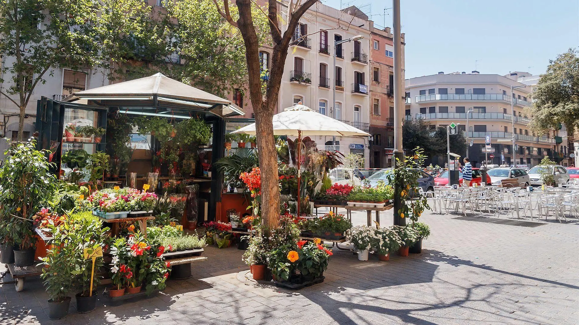 Feelathome Plaza Apartments Barcelona España
